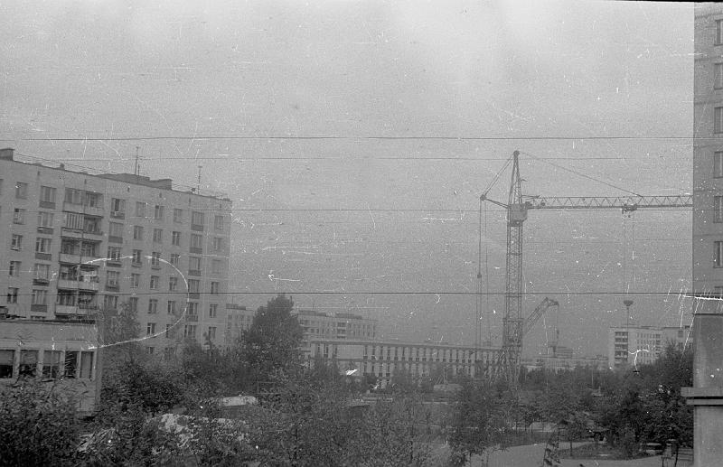 Image603.gif