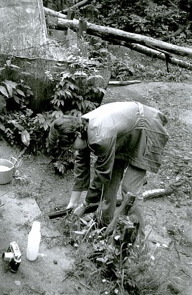 Image1305.BMP