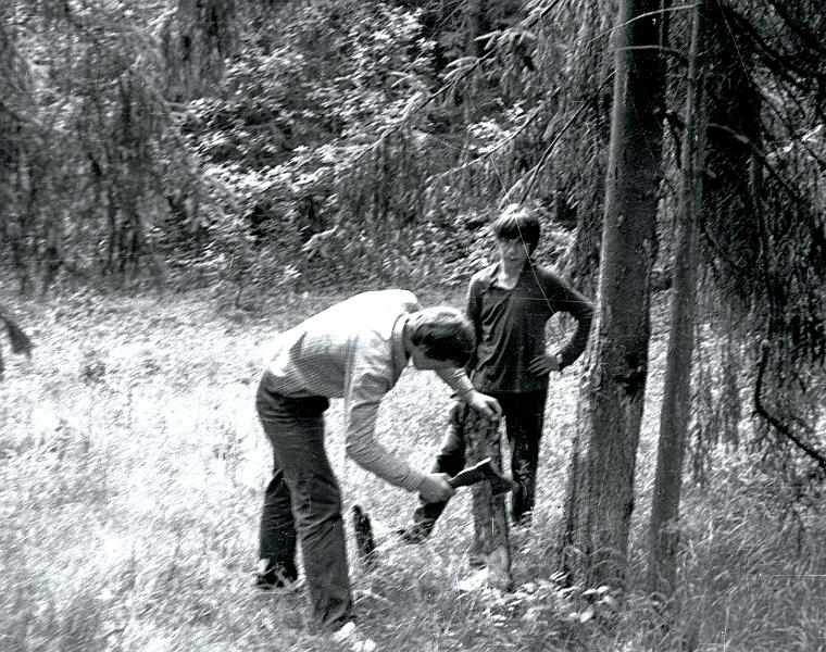 Image3502.BMP