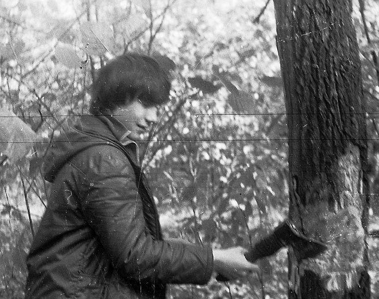 Image503.gif